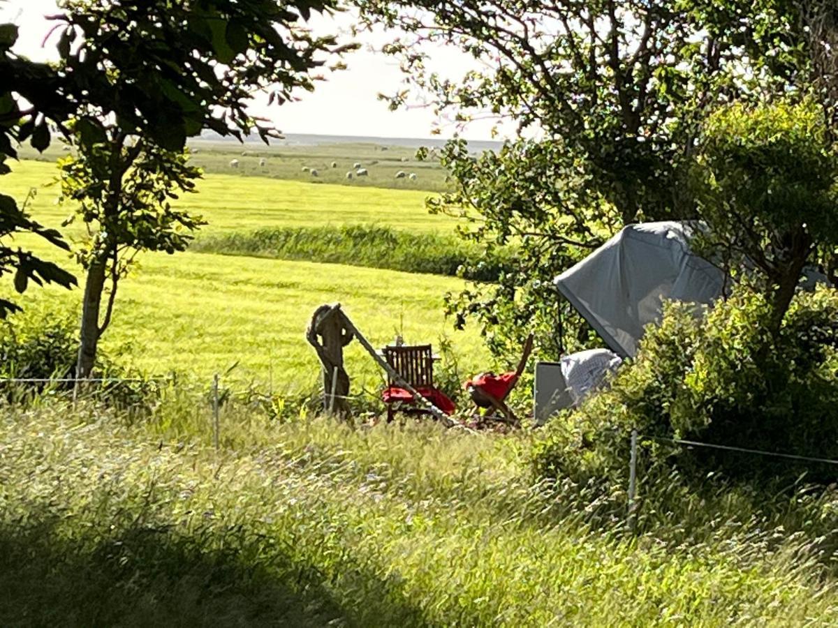 Hof Steinhuetten Schlafstrandkorb Westerhever Bagian luar foto
